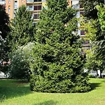 Vittoria Citylife *