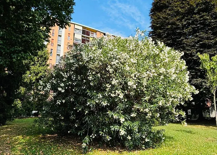 Vittoria Citylife Daire